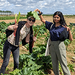 Deux collaboratrices d'Infotrafic à la cueillette de légumes